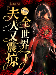夫人又震惊全世界了