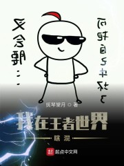 我在王者世界瞎混