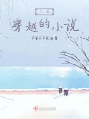 一本穿越的小说