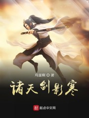诸天剑影寒