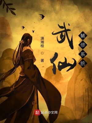 武仙辅修系统