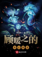 顾暖之的奇幻网游