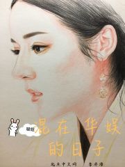 混在华娱的日子