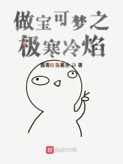 做宝可梦之极寒冷焰