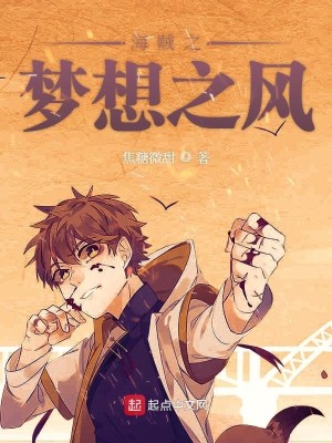 海贼之梦想之风