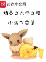 精灵之大师之路在线阅读