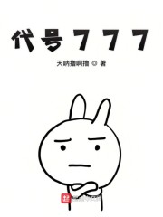 代号777