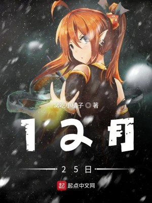 12月25日