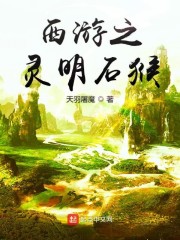 西游之灵明石猴