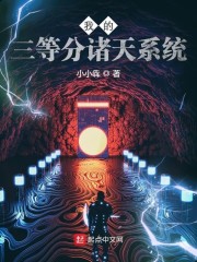 我的三等分诸天系统