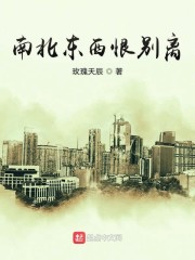 南北东西恨别离