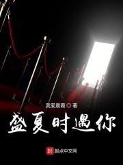 盛夏时遇你