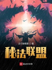 秘法联盟