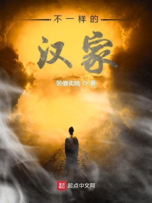 不一样的汉家
