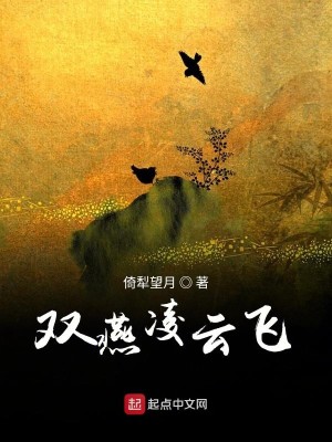 双燕凌云飞