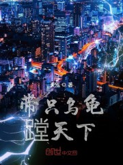 带只乌龟蹚天下