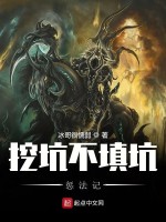 挖坑不填坑惩法记在线阅读