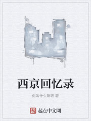 西京回忆录