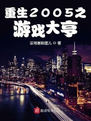 重生2005之游戏大亨