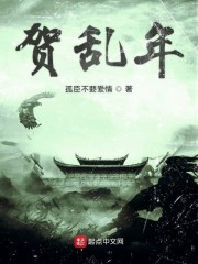 贺乱年