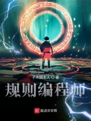 规则编程师