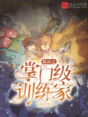 精灵之掌门级训练家