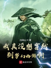 我真没想穿越到梦幻西游啊