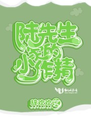 陆先生家的小作精