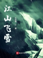 江山飞雪