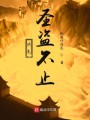 洪荒圣盗不止封面图