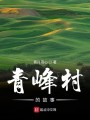 青峰村的故事封面图
