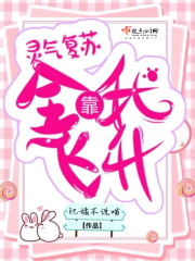 灵气复苏全靠我飞升