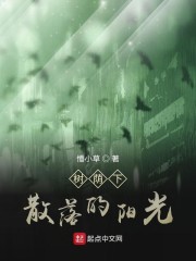 树荫下散落的阳光