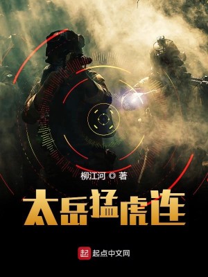 太岳猛虎连
