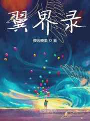 翼界录