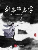 刺客的名字在线阅读