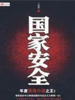 国家安全