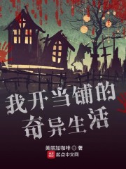 我开当铺的奇异生活