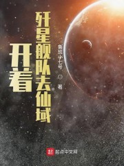 开着歼星舰队去仙域