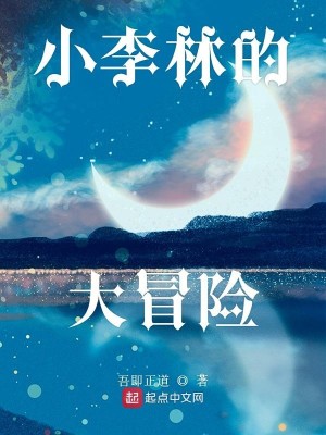 小李林大冒险