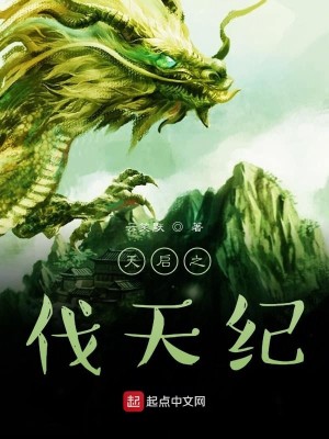 天启之伐天纪