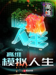高维模拟人生