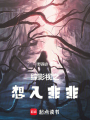 综穿之吾愿有涯