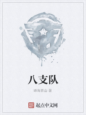 八支队