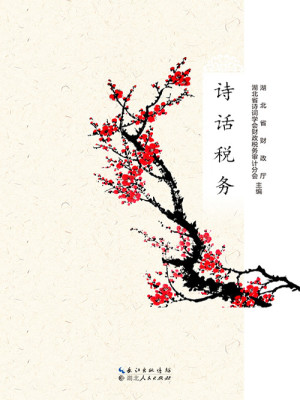 诗话税务