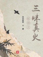 轮回之三昧真火在线阅读