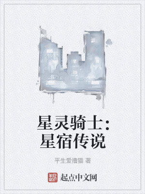 星灵骑士：星宿传说