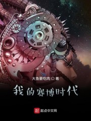 我的赛博时代