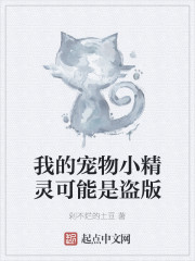 我的宠物小精灵可能是盗版