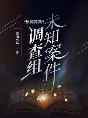 未知案件调查组